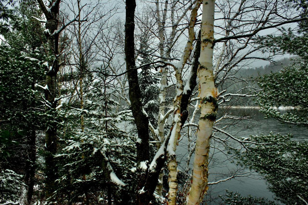 Chalet Au Bord Du St-Maurice La Tuque Esterno foto